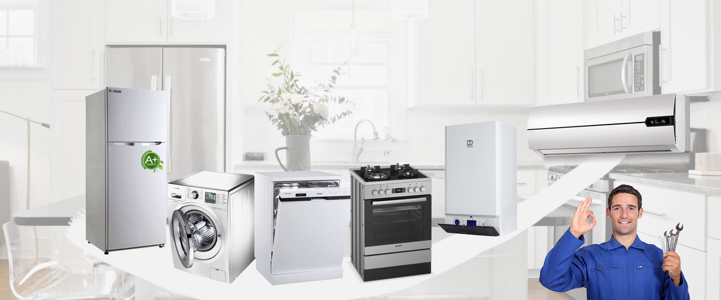 Güzelbahçe Electrolux Servisi
